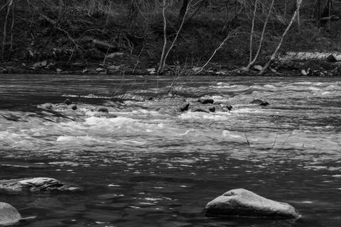 Rivers edge Stock Photos