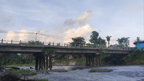 Rivers flow and garbages under the brige 動画素材 224498394