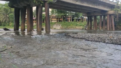 Rivers flow and garbages under the brige 動画素材 224498442