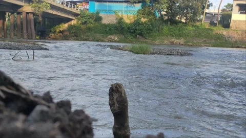 Rivers flow and garbages under the brige 動画素材 224498914