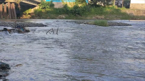 Rivers flow and garbages under the brige 動画素材 224498930