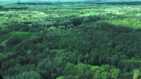 Rivers, forests, lakes view from a helicopter. Desna river Stock-Footage 154106856