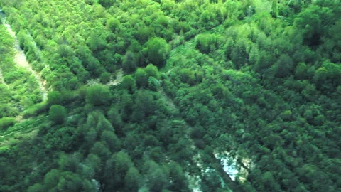 Rivers, forests, lakes view from a helicopter. Desna river 動画素材 154107362