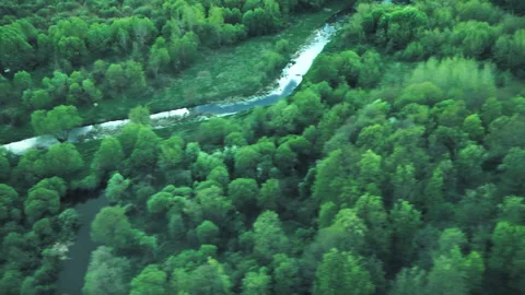 Rivers, forests, lakes view from a helicopter. Desna river 動画素材 154107429
