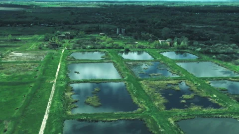 Rivers, forests, lakes view from a helicopter. Desna river 動画素材 154107580