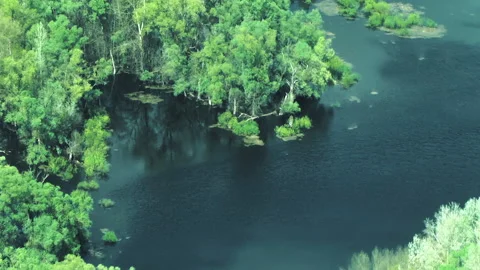Rivers, forests, lakes view from a helicopter. Desna river 動画素材 154107668
