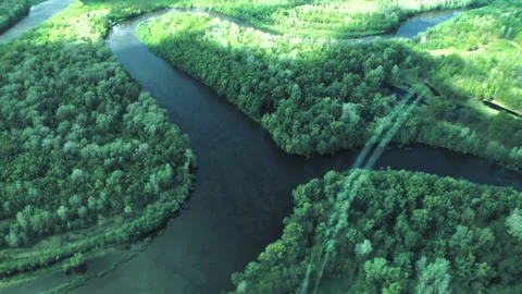 Rivers, forests, lakes view from a helicopter. Desna river 動画素材 154113807