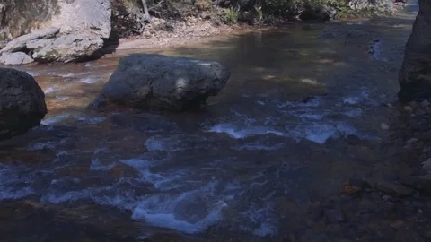 Rivers on the island of Kunashir Stock Footage 73852012