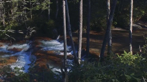 Rivers on the island of Kunashir Stock Footage 73852105