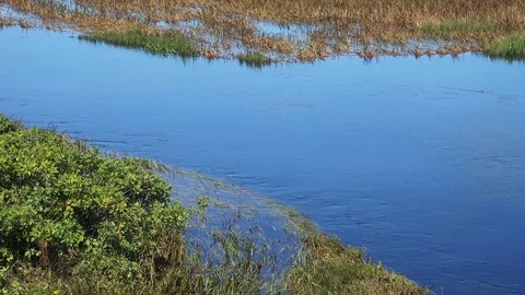 Rivers on the island of Kunashir Stock Footage 75397558