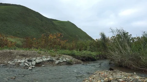 Rivers on the island of Kunashir Stock Footage 75398342