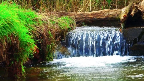 Rivers on the island of Kunashir Stock Footage 75398368