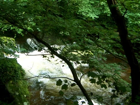 Rivers Meet Stock Footage 490251