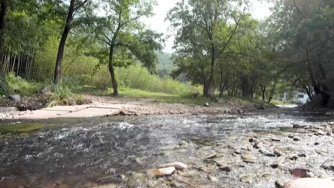 Rivers in the mountains in summer Stock Footage 221164739