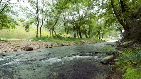 Rivers in the mountains in summer Stock Footage 221164746