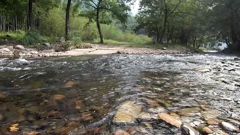 Rivers in the mountains in summer Stock Footage 221164756