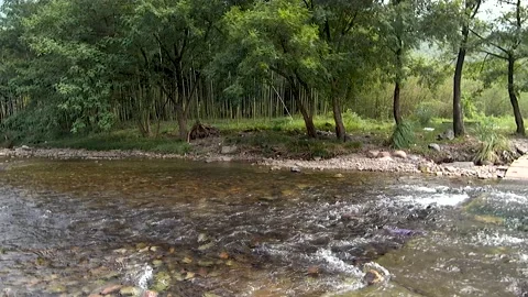 Rivers in the mountains in summer Stock Footage 221164764