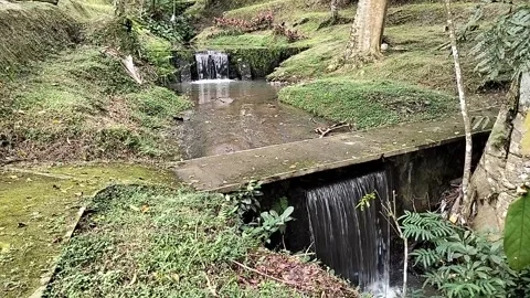 Rivers in nature 库存影片 333903536