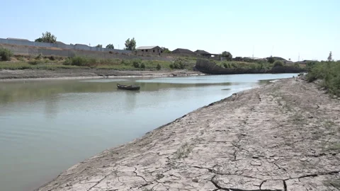 Rivers. Parched and cracking soil Stock Footage 246827494