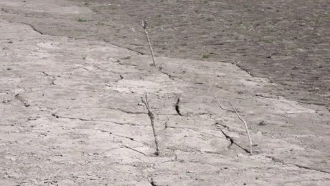 Rivers. Parched and cracking soil Stock Footage 246827627