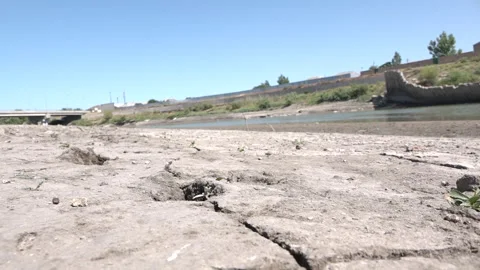 Rivers. Parched and cracking soil Stock Footage 246827711