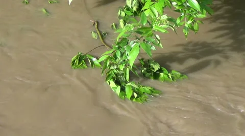 River's Rising Stock Footage 54755629