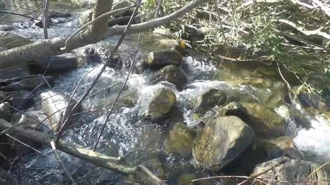 The river's water flows rapidly between the rocks Video stock 149056276