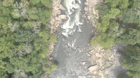 Rivers in WV [60FPS] 4 스톡 동영상 97208199