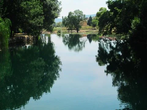 Riverscape with trees Foto stock