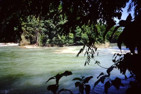Riverscape with trees Foto stock