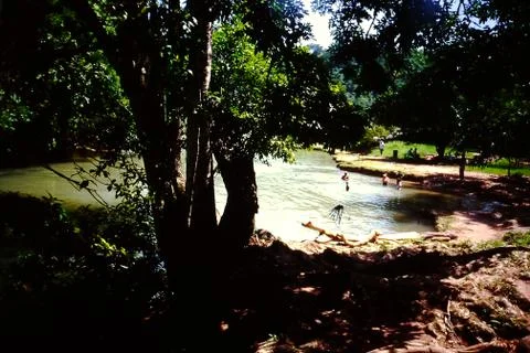 Riverscape with trees Stock Photos