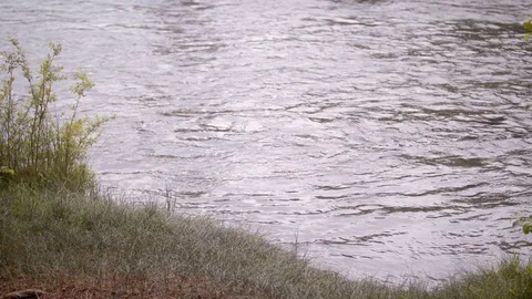 Rivershore Stock Footage 90494048