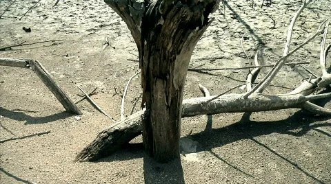 Riverside 03 Stock-Footage 330242