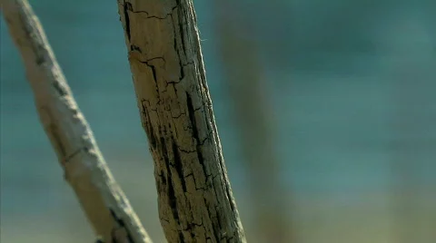 Riverside 07 Stock Footage