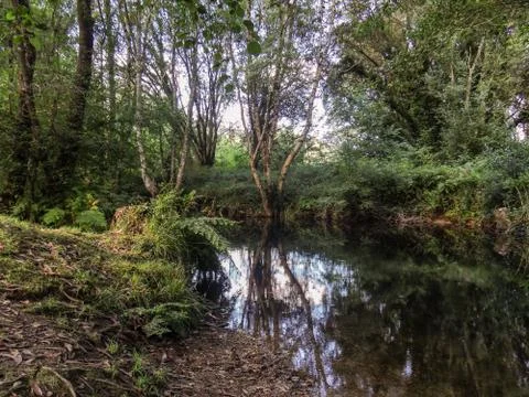 Riverside-07468 Foto stock