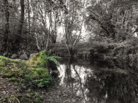 Riverside-07468b Stock Photos