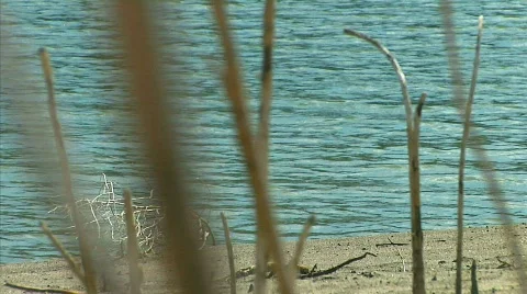 Riverside 08 Stock Footage