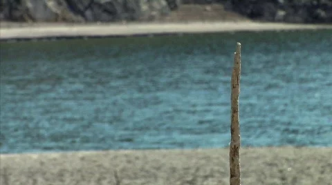 Riverside 09 Stock-Footage 330262