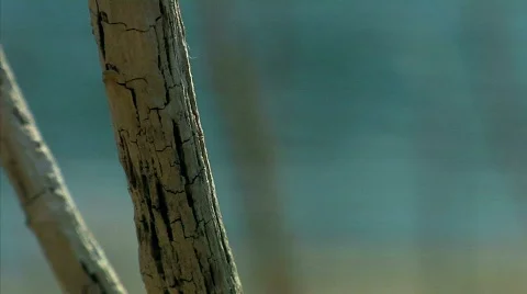 Riverside 10 Stock-Footage 330269