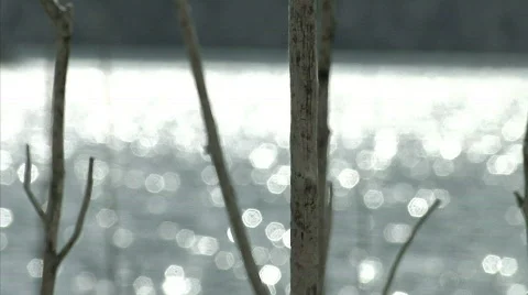 Riverside 11 Stock Footage 330236