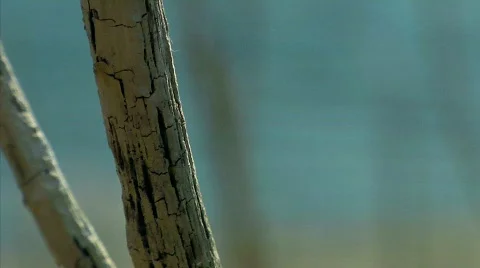 Riverside 11 Stock Footage 330270