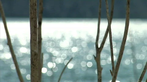 Riverside 12 Stock Footage 330272