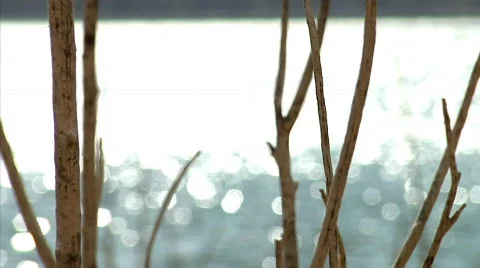 Riverside 13 Stock-Footage 330278