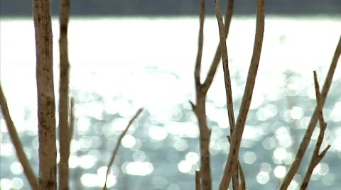 Riverside 16 Stock-Footage 330284