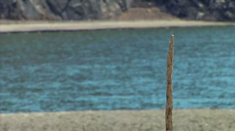 Riverside 18 Stock Footage 330293