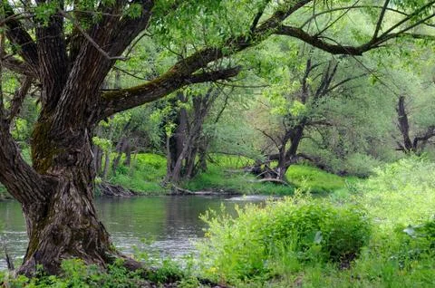 Riverside in April Stock Photos