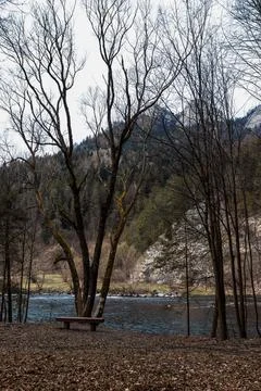 Riverside Bench Beneath Bare Trees in Mountain Valley Foto stock