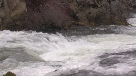 Riverside at Benham Falls Stock Footage 88828029