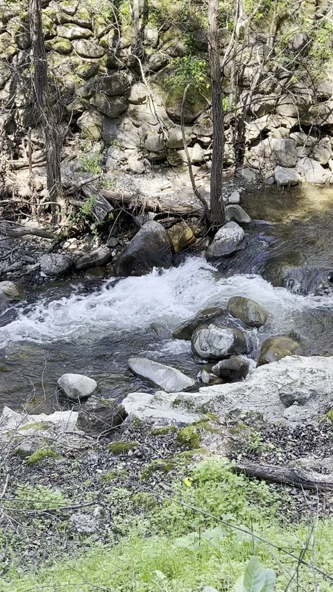 Riverside Creek Stock Footage 271079054