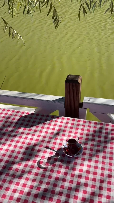 Riverside Dining: Nature’s Table Видео 339274599